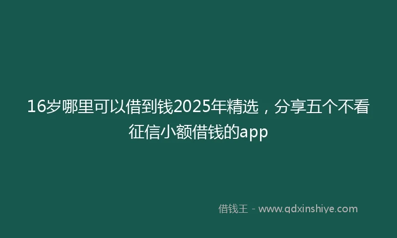 16岁哪里可以借到钱2025年精选，分享五个不看征信小额借钱的app