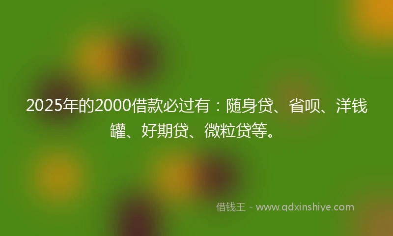 2025年的2000借款必过有：随身贷、省呗、洋钱罐、好期贷、微粒贷等。