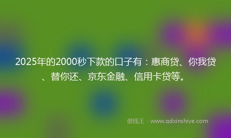 2025年的2000秒下款的口子有：惠商贷、你我贷、替你还、京东金融、信用卡贷等。