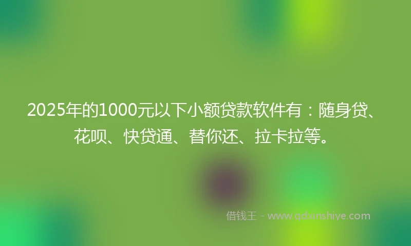 2025年的1000元以下小额贷款软件有：随身贷、花呗、快贷通、替你还、拉卡拉等。