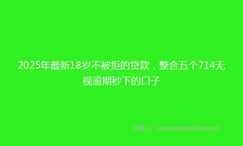 2025年最新18岁不被拒的贷款，整合五个714无视逾期秒下的口子