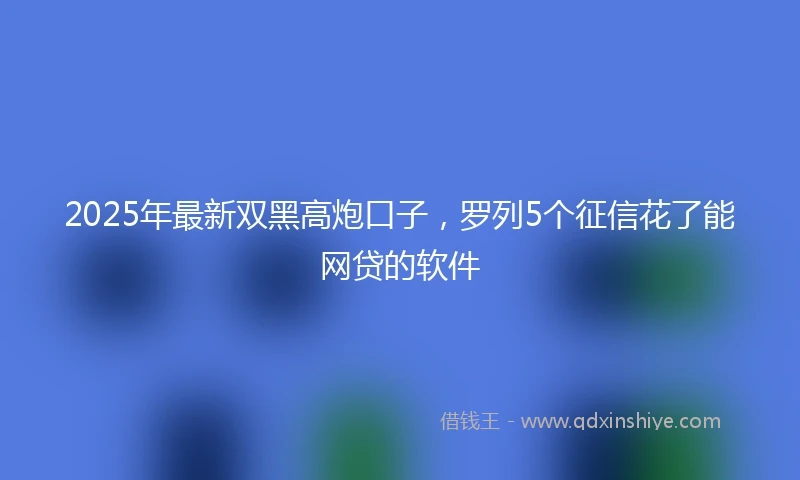 2025年最新双黑高炮口子，罗列5个征信花了能网贷的软件