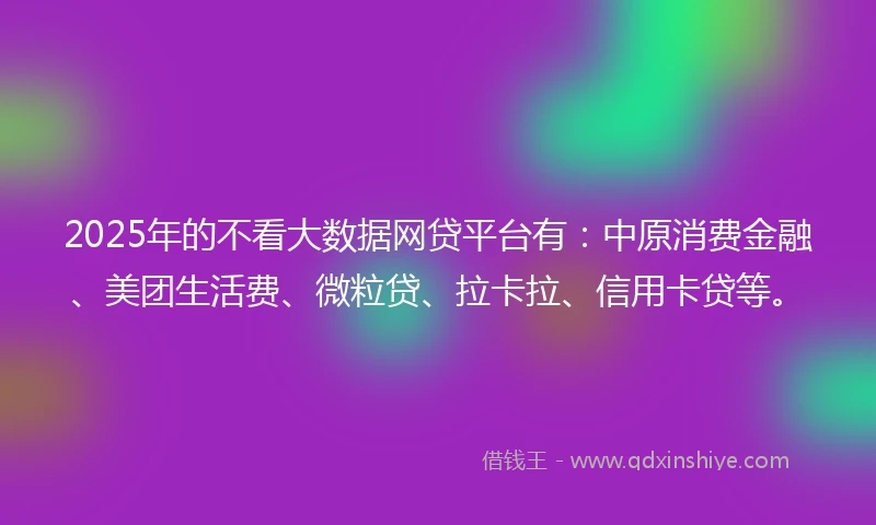 2025年的不看大数据网贷平台有：中原消费金融、美团生活费、微粒贷、拉卡拉、信用卡贷等。