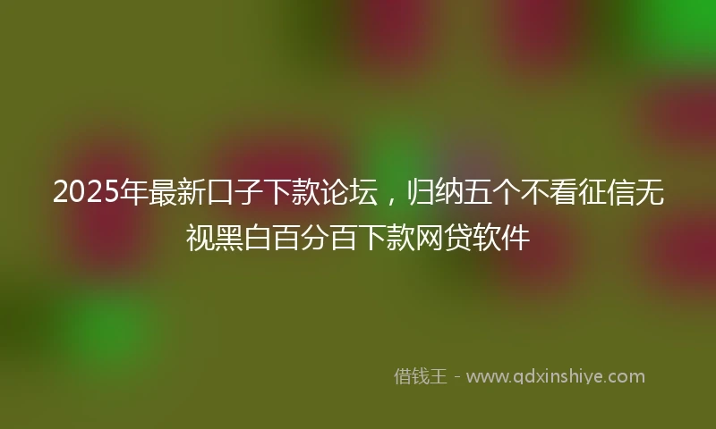 2025年最新口子下款论坛，归纳五个不看征信无视黑白百分百下款网贷软件
