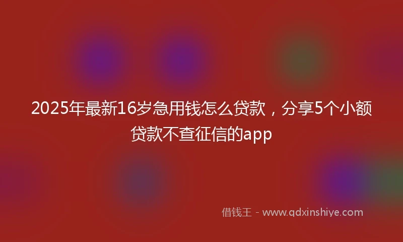 2025年最新16岁急用钱怎么贷款，分享5个小额贷款不查征信的app
