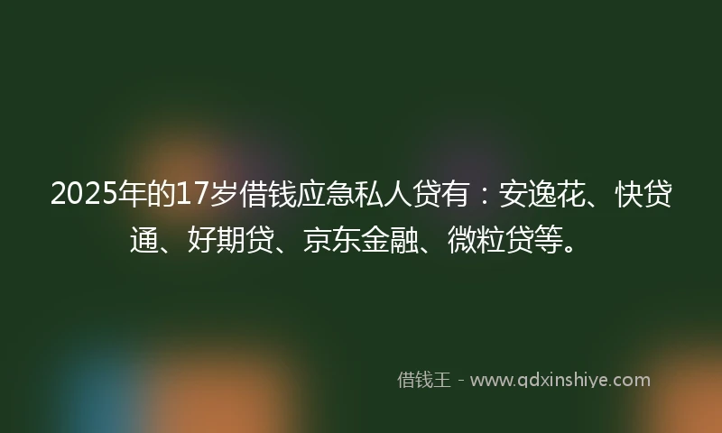2025年的17岁借钱应急私人贷有：安逸花、快贷通、好期贷、京东金融、微粒贷等。