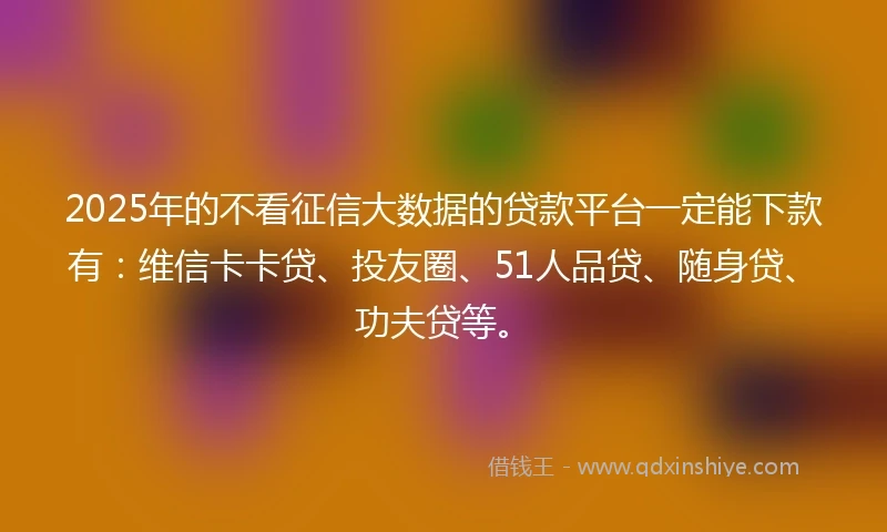 2025年的不看征信大数据的贷款平台一定能下款有：维信卡卡贷、投友圈、51人品贷、随身贷、功夫贷等。