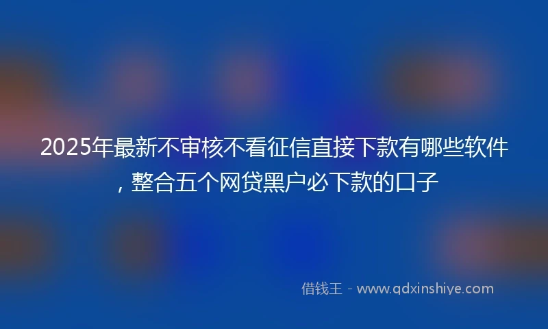 2025年最新不审核不看征信直接下款有哪些软件，整合五个网贷黑户必下款的口子