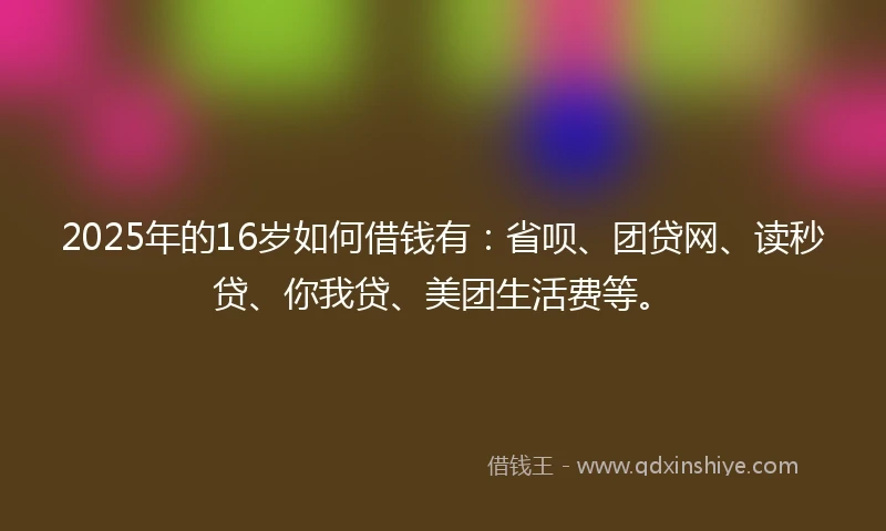 2025年的16岁如何借钱有：省呗、团贷网、读秒贷、你我贷、美团生活费等。