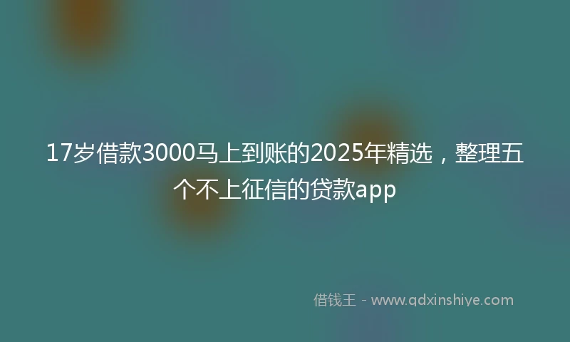 17岁借款3000马上到账的2025年精选，整理五个不上征信的贷款app