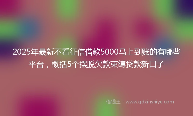 2025年最新不看征信借款5000马上到账的有哪些平台，概括5个摆脱欠款束缚贷款新口子