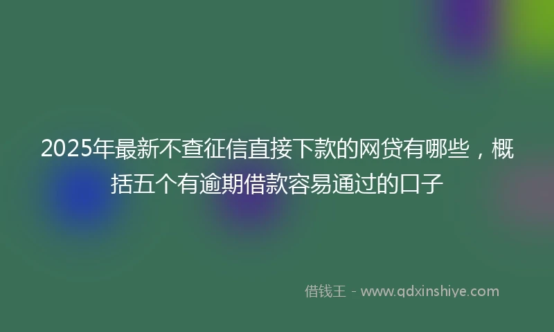 2025年最新不查征信直接下款的网贷有哪些，概括五个有逾期借款容易通过的口子