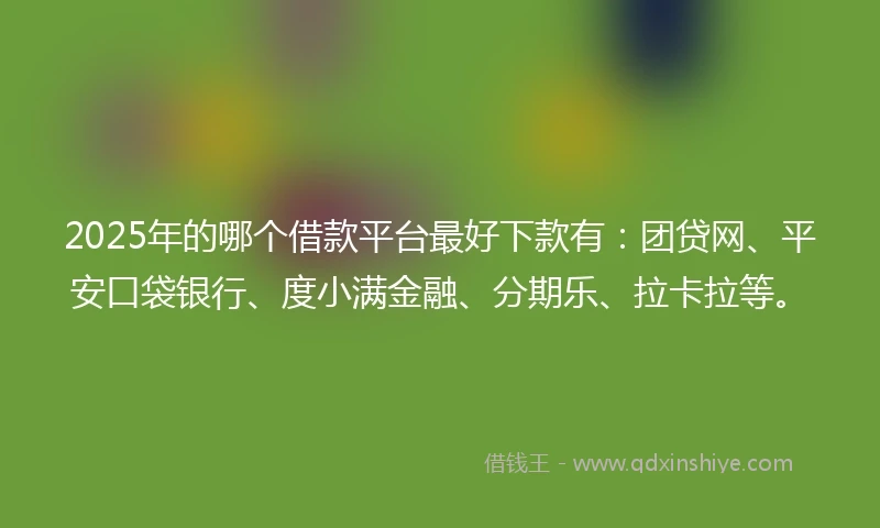 2025年的哪个借款平台最好下款有：团贷网、平安口袋银行、度小满金融、分期乐、拉卡拉等。