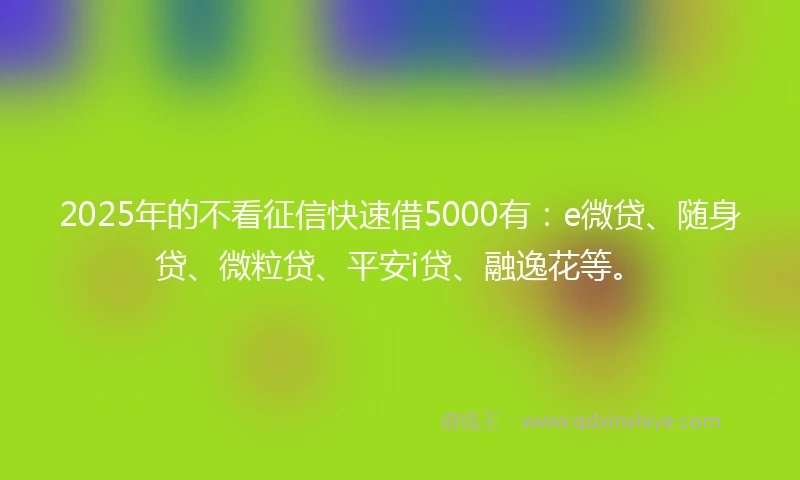 2025年的不看征信快速借5000有：e微贷、随身贷、微粒贷、平安i贷、融逸花等。