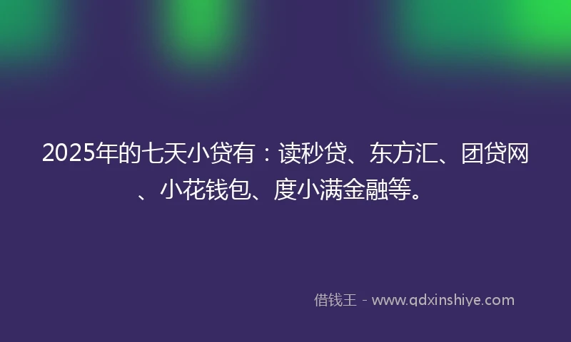 2025年的七天小贷有：读秒贷、东方汇、团贷网、小花钱包、度小满金融等。