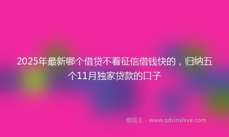 2025年最新哪个借贷不看征信借钱快的，归纳五个11月独家贷款的口子
