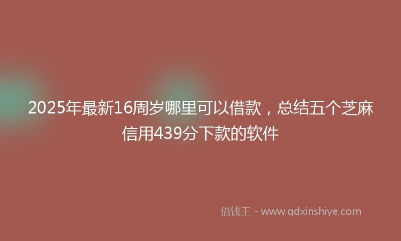 2025年最新16周岁哪里可以借款，总结五个芝麻信用439分下款的软件