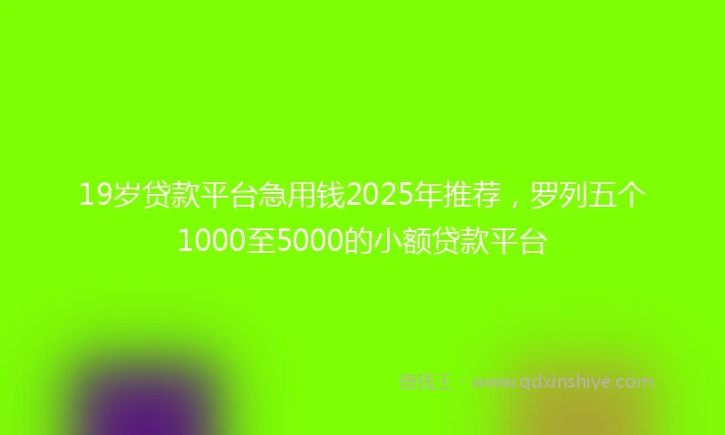 19岁贷款平台急用钱2025年推荐，罗列五个1000至5000的小额贷款平台