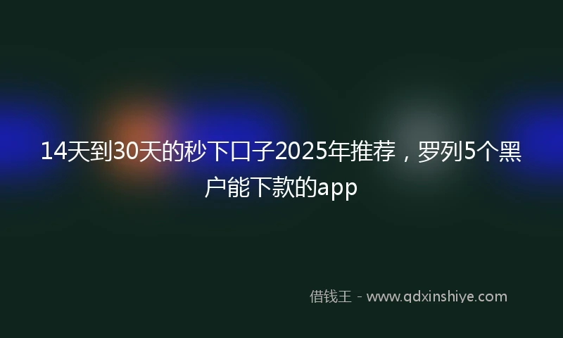 14天到30天的秒下口子2025年推荐，罗列5个黑户能下款的app