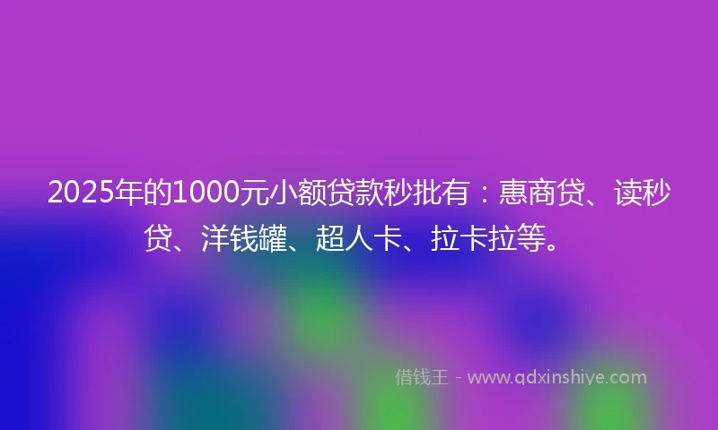 2025年的1000元小额贷款秒批有：惠商贷、读秒贷、洋钱罐、超人卡、拉卡拉等。