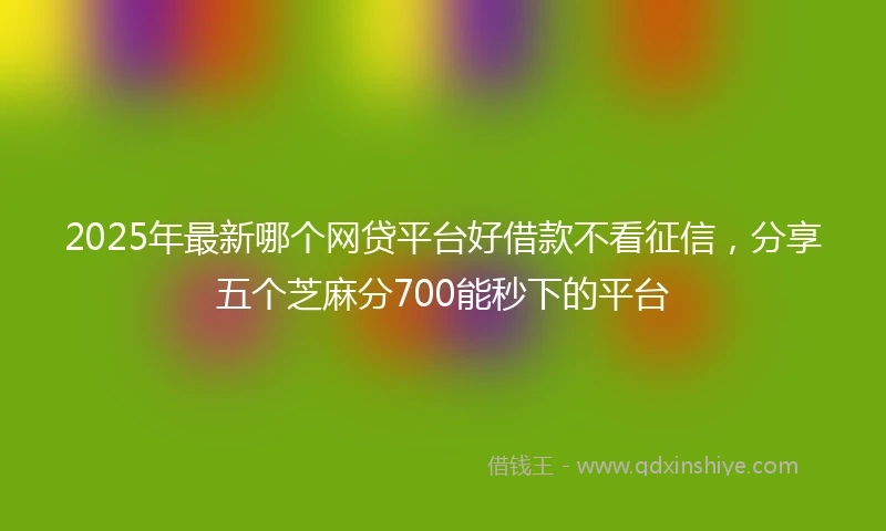 2025年最新哪个网贷平台好借款不看征信，分享五个芝麻分700能秒下的平台