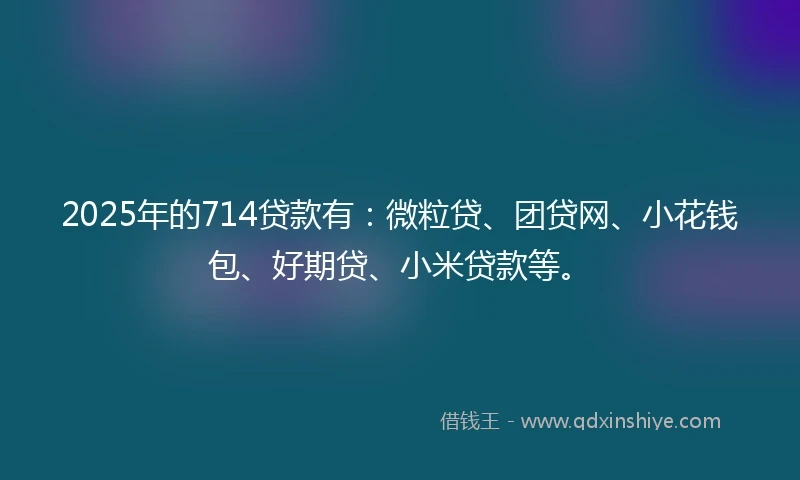 2025年的714贷款有：微粒贷、团贷网、小花钱包、好期贷、小米贷款等。