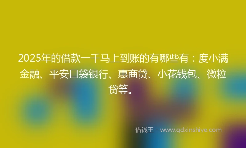2025年的借款一千马上到账的有哪些有：度小满金融、平安口袋银行、惠商贷、小花钱包、微粒贷等。