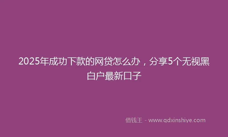 2025年成功下款的网贷怎么办，分享5个无视黑白户最新口子