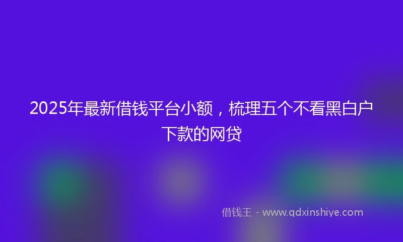 2025年最新借钱平台小额，梳理五个不看黑白户下款的网贷