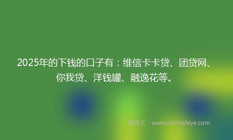 2025年的下钱的口子有：维信卡卡贷、团贷网、你我贷、洋钱罐、融逸花等。