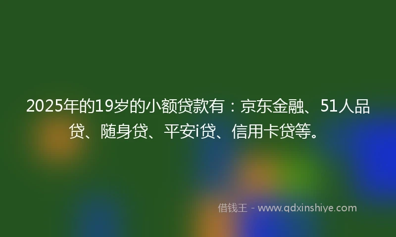 2025年的19岁的小额贷款有：京东金融、51人品贷、随身贷、平安i贷、信用卡贷等。