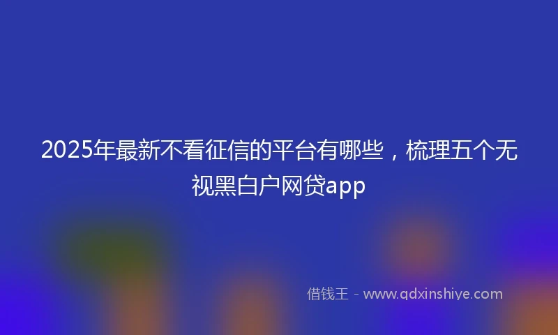 2025年最新不看征信的平台有哪些，梳理五个无视黑白户网贷app