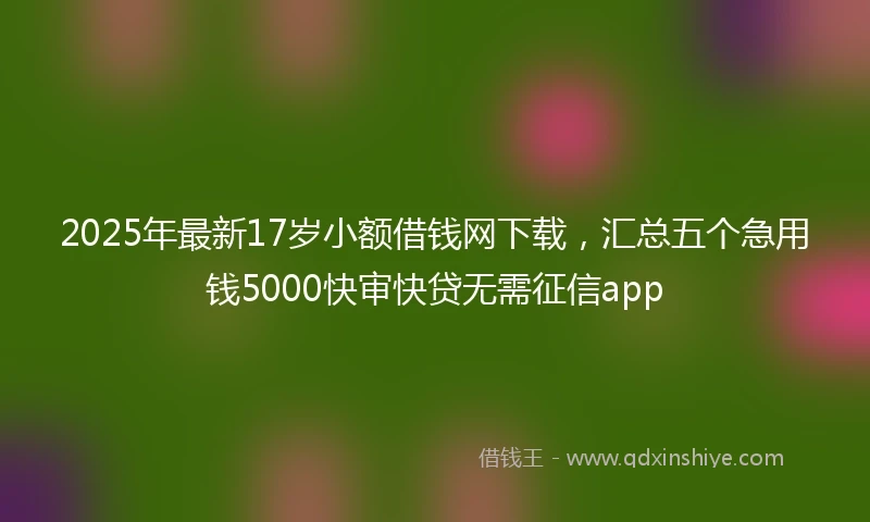 2025年最新17岁小额借钱网下载，汇总五个急用钱5000快审快贷无需征信app