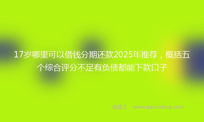 17岁哪里可以借钱分期还款2025年推荐，概括五个综合评分不足有负债都能下款口子