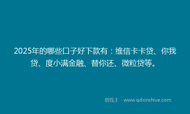 2025年的哪些口子好下款有：维信卡卡贷、你我贷、度小满金融、替你还、微粒贷等。
