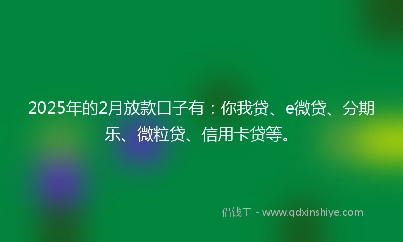 2025年的2月放款口子有：你我贷、e微贷、分期乐、微粒贷、信用卡贷等。