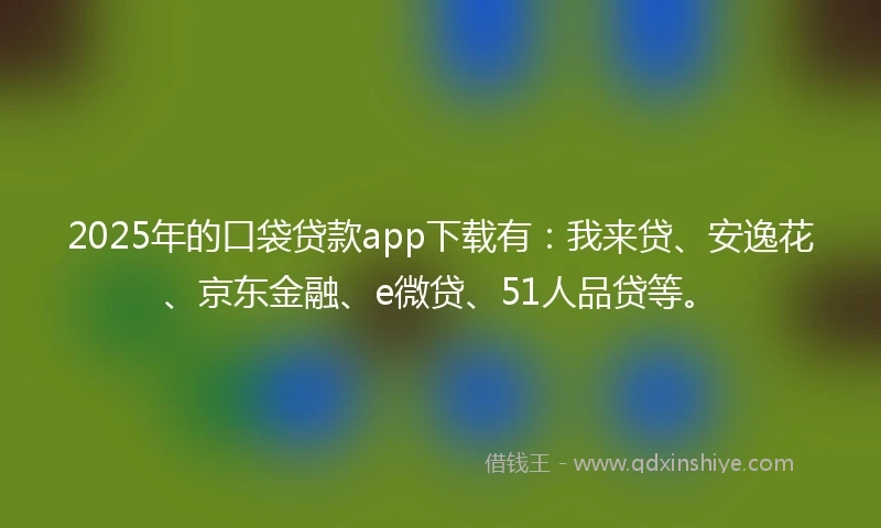2025年的口袋贷款app下载有：我来贷、安逸花、京东金融、e微贷、51人品贷等。