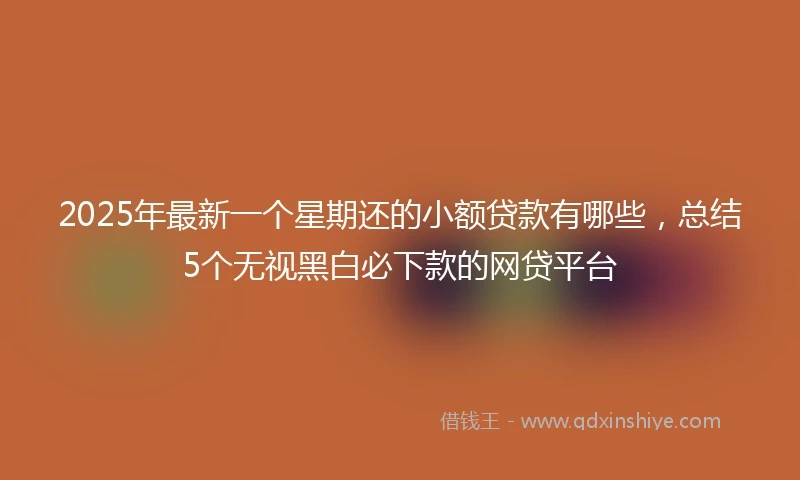 2025年最新一个星期还的小额贷款有哪些，总结5个无视黑白必下款的网贷平台