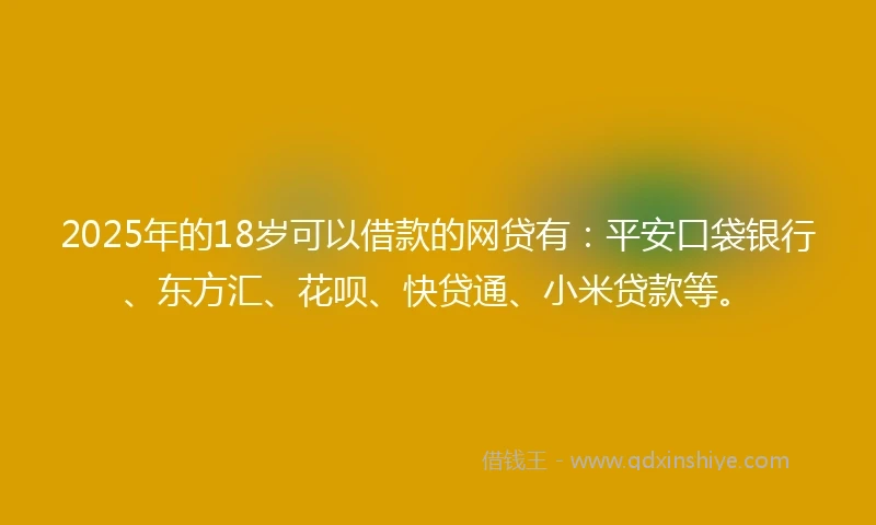 2025年的18岁可以借款的网贷有：平安口袋银行、东方汇、花呗、快贷通、小米贷款等。