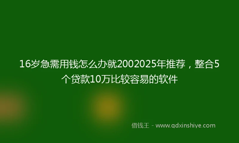 16岁急需用钱怎么办就2002025年推荐，整合5个贷款10万比较容易的软件