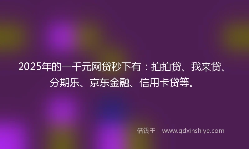 2025年的一千元网贷秒下有：拍拍贷、我来贷、分期乐、京东金融、信用卡贷等。