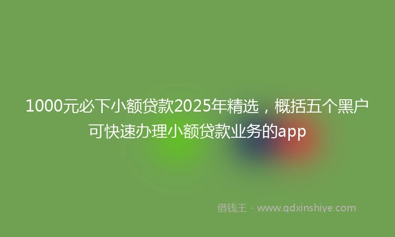 1000元必下小额贷款2025年精选，概括五个黑户可快速办理小额贷款业务的app