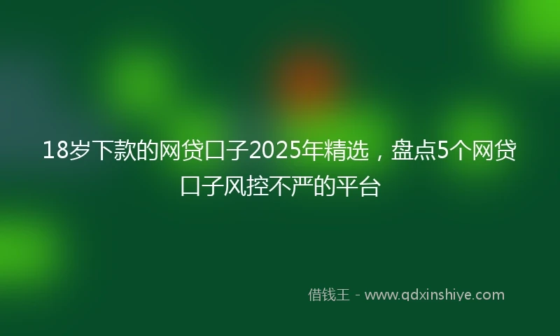 18岁下款的网贷口子2025年精选，盘点5个网贷口子风控不严的平台