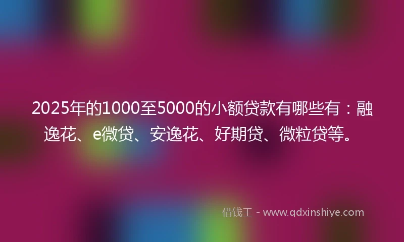 2025年的1000至5000的小额贷款有哪些有：融逸花、e微贷、安逸花、好期贷、微粒贷等。