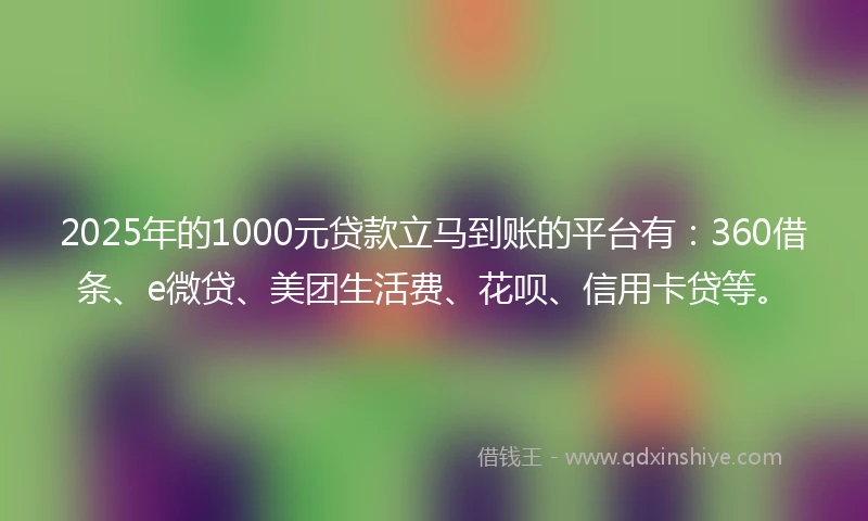 2025年的1000元贷款立马到账的平台有：360借条、e微贷、美团生活费、花呗、信用卡贷等。