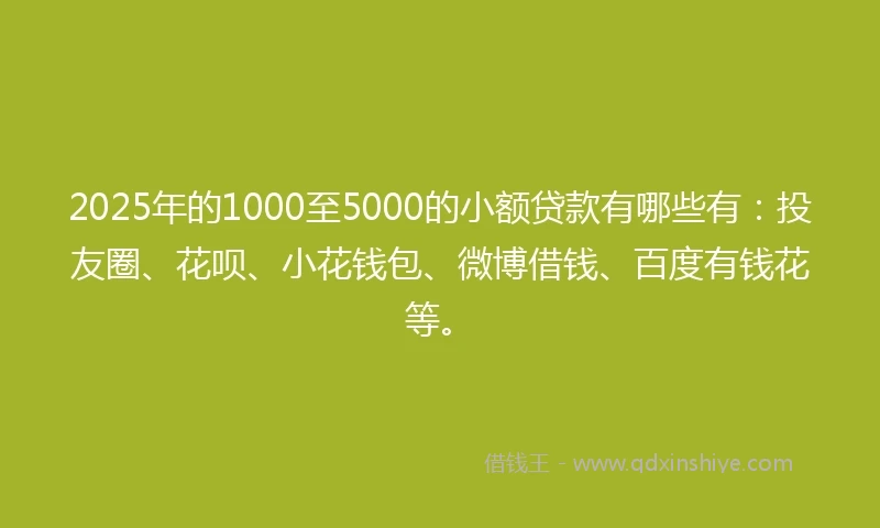 2025年的1000至5000的小额贷款有哪些有：投友圈、花呗、小花钱包、微博借钱、百度有钱花等。