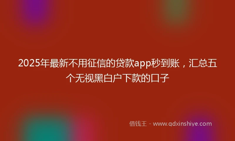 2025年最新不用征信的贷款app秒到账，汇总五个无视黑白户下款的口子