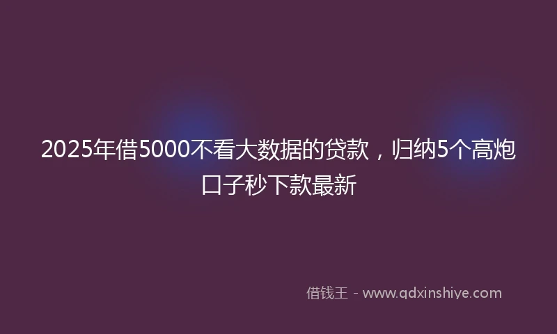 2025年借5000不看大数据的贷款，归纳5个高炮口子秒下款最新