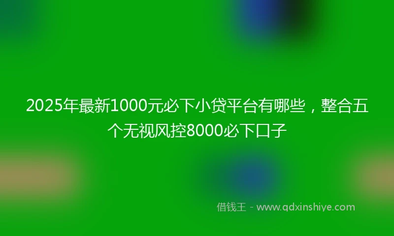 2025年最新1000元必下小贷平台有哪些，整合五个无视风控8000必下口子