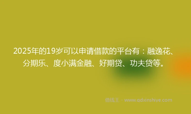 2025年的19岁可以申请借款的平台有：融逸花、分期乐、度小满金融、好期贷、功夫贷等。